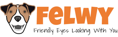 FELWY · Friendly Eyes Looking With You